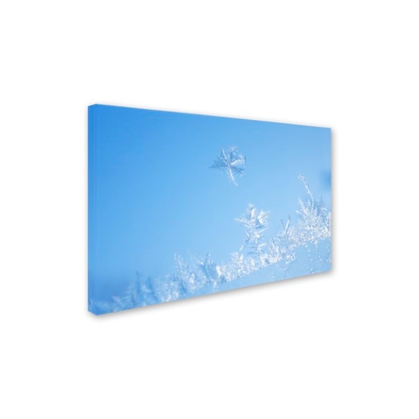 Kurt Shaffer 'Window Frost' Canvas Art,16x24